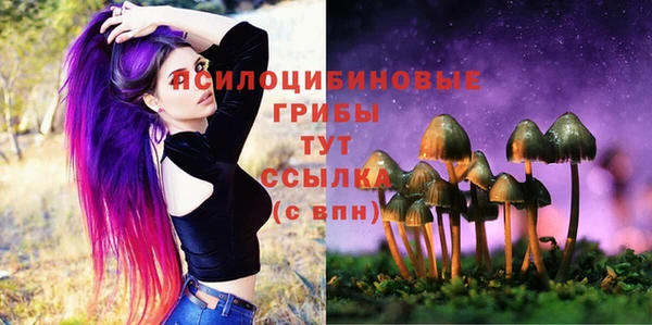 a pvp Алзамай